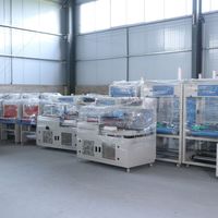 Machine d'emballage multifonctionnelle automatique pneumatique pour film POF avec pompe pour rétraction thermique des aliments