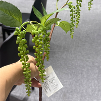 Nouvelle Conception de Fleurs Artificielles en Plastique : Amarante, Radis de Montagne Simulé, Fleur de Pokeweed pour Décoration Murale