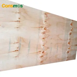 4x8 Birch Plywood Birch 3Mm 1/2 4X8 5/8 Cdx Plywood Shuttering Plywood Structural CDX Pine Wood