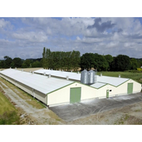 Cadre en acier léger de conception moderne volaille de grange de ferme à grande échelle structure en acier ferme automatique de poulets de chair élevage de poulets
