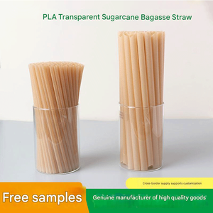 Pajitas de Pulpa de Caña de Azúcar Minimalistas para Fiestas, Desechables, Totalmente Clásicas, Biodegradables, Ecológicas, Paquete de 500 Unidades, Varios Tamaños, Sin Residuos - Product Image 5