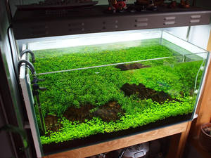 Aquascape Waterplant Modder 3l/9l <span class=keywords><strong>Aquarium</strong></span> Landschapsarchitectuur Substraat Stabiliseren Waterkwaliteit <span class=keywords><strong>Aquarium</strong></span> Watergras Modder Tuin Benodigdheden - Product Image 4