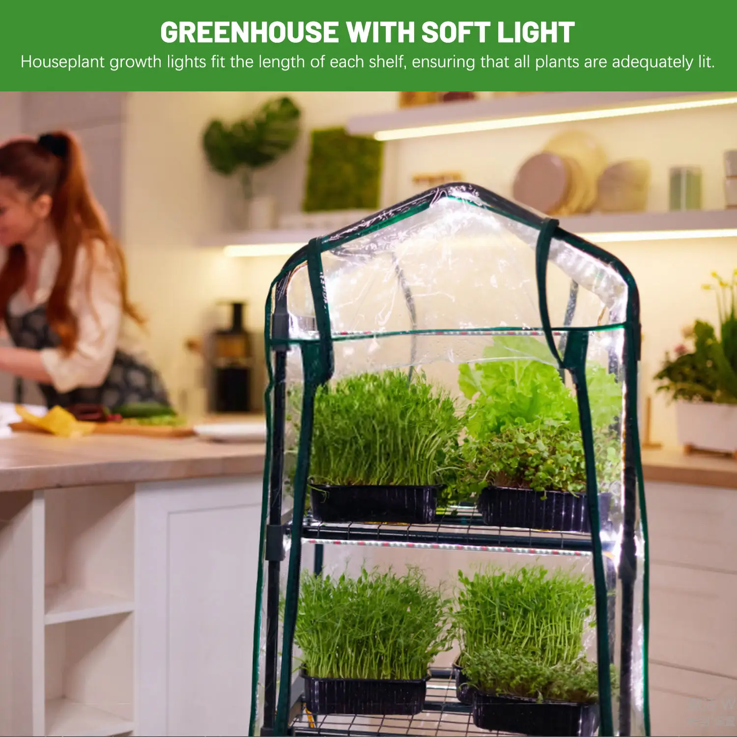농업 또는 야외 사용을위한 작은 식물을위한 성장 빛을 가진 4 단 미니 온실 방수 실내 정원
