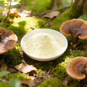 Vésicules de Ganoderma Lucidum haute densité pour la repousse des cheveux et les solutions de soin du cuir chevelu – Matière première cosmétique biotechnologique avancée - Product Image 6