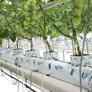 Upuper Chất Nền Nhà Sản Xuất Bán Buôn Thủy Canh Nhà Máy Hạt Giống Đá Len Phát Triển Cubes Cây Giống - Product Image 2