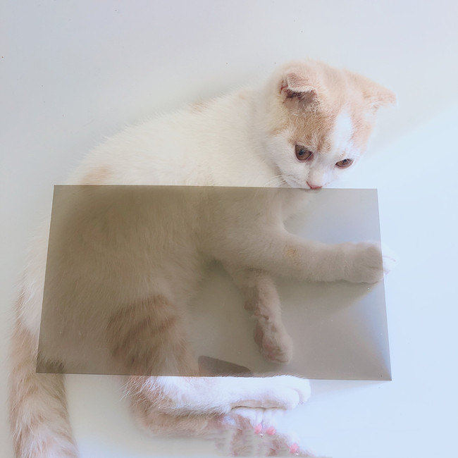 4x8 листов, пластиковые поликарбонатные прозрачные дешевые поликарбонатные листы