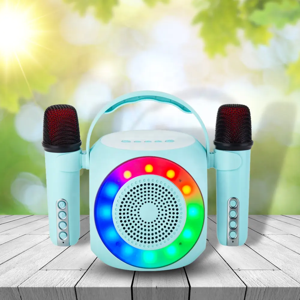 8W Mini taşınabilir Karaoke Bluetooth hoparlör açık Mini parti bas HIFI BT akıllı TV ve ev sineması için Karaoke makinesi