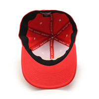 Gorras de Béisbol Deportivas Vintage Personalizadas, con Visera Rígida, Bordadas, Lavadas, Unisex, Protección Solar, con Lazos, para Publicidad