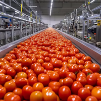 Machine à fabriquer la pâte de tomate industrielle Pâte de tomate Sauce chili Machine à concentrer la pulpe de mangue Usine de ligne de production