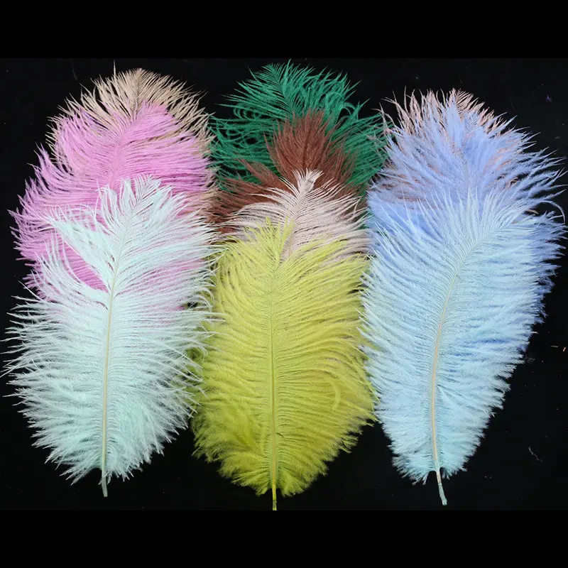 Plume longueur 20-25 cm plumes d'autruche colorées pour décoration murale de mariage