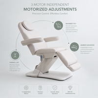 Table de massage esthétique moderne rose à 3 moteurs avec chaise inclinable intégrale pour salon, en PVC – Prix abordable