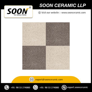 Azulejos de porcelana para exteriores ecológicos y a prueba de manchas 20X20 pulgadas diseñados para espacios al aire libre de la India - Product Image 4