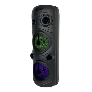 Meilleure Vente Karaoké Double Haut-parleur 8 Pouces 20W Micro Filaire Enregistrement Écho Utilisation Extérieure Fête Éclairage LED RGB Prise en Charge Carte Mémoire - Product Image 2