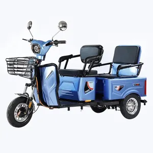500w-1000w three-wheel electric vehicle factory pull cargo load electric bicycle pull guests 3-wheel electric motorcycle