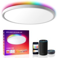 TSINYE rond blanc gradation en continu 3000-6500k rétro-éclairage Rgb atmosphère lampe multifonction 24w Led plafonnier pour la maison