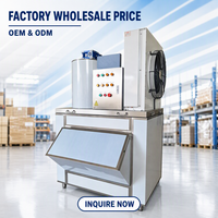 Machine à glace en flocons CE haute productivité pour usine, capacité 1t/jour, avec compresseur 220V, idéale pour l'industrie agroalimentaire