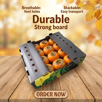 Caisse en plastique ondulé PP 5mm 700x500x350mm pour fruits et légumes, bac en Coroplast creux pour la vente en gros, OEM ODM disponible