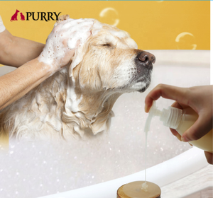 Purry Çevre Dostu Meyve Kokulu Toptan OEM/ODM Evcil Hayvan Ürünleri Köpek Bakım Ürünleri Pürüzsüz ve Kabarık Şekillendirici Şampuan - Product Image 3