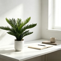 Vente en gros usine : Plante artificielle Cycas Revoluta en pot, faux palmier Sago Bonsaï avec pot blanc pour la décoration de bureau et de table