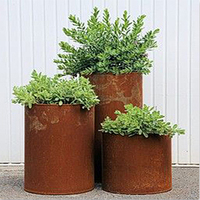 Jardinières et Bacs à Fleurs Surélevés en Acier Corten, Grandes Dimensions, Personnalisés pour Intérieur et Extérieur