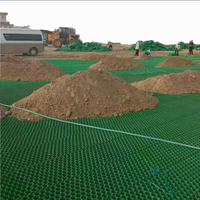 Vente chaude vert Drainage Plasticm pelouse fixe Golf pelouse parking grille d'herbe en plastique