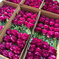 Arrangement de fleurs artificielles de renoncules multicouches de style moderne, couleur rouge rosé, toucher réel, fait main, doux, réaliste et parfumé