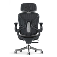 Chaise de bureau ergonomique en maille de nylon avec siège rembourré, appui-tête 5D, accoudoirs 5D en PU, repose-pieds rétractable pour bureau à domicile