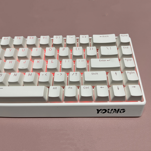 Wholesale ABS 68-Key 65% Portable Ribbon <strong>Mechanical</strong> <strong>Keyboard</strong> Anti-Ghosting RGB <strong>Backlit</strong> White Tri-Mode Gaming <strong>Keyboard</strong> - Product Image 6