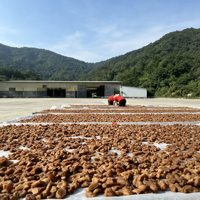 Extrait de poudre de graines de Polygonatum de qualité alimentaire supérieure, polyphénols, saponines, alcaloïdes, extraction liquide-solide en flacon