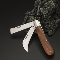 Couteau de greffage pliable de qualité industrielle, outil de taille DIY pour la taille des fleurs