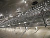 Simulateur Hontech-Wins 3000W pour l'élevage, contrôle DMX LED 4 canaux, variateur d'intensité pour élevage de volailles, étanche, garantie 5 ans
