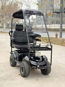 Carrito de Golf Eléctrico Ligero de Aluminio para 2 Personas y Scooter de Movilidad para Viajes por el <span class=keywords><strong>Vecindario</strong></span> y de Ocio - Product Image 1