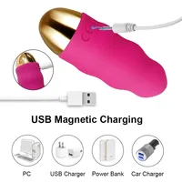 Fernbedienbarer Tragbarer Vibrator für Frauen Klitoris- & G-Punkt-Stimulation 12 Modi USB-Aufladbar Wasserdicht Erwachsenen-Sexspielzeug