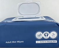 Lingettes humides féminines pour peaux sensibles, biodégradables, jetables pour adultes, 80 lingettes