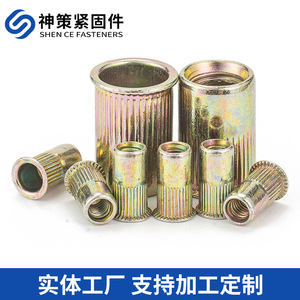 Écrous à rivets Shence M3 à M24 à tête plate métrique moletée pour l'industrie de la construction - Product Image 3