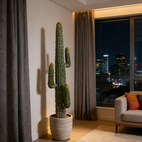 Plante artificielle de cactus tropical succulente en plastique durable, haute simulation, décoration intérieure pour cérémonie de remise de diplôme, mariage, cactus