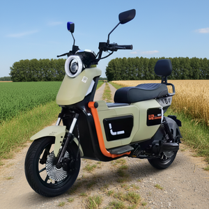 Bicicleta Eléctrica Urbana de Dos Plazas, 500W, 48V, con Pedal, para Ciudad, con Velocidad Máxima, Categoría de Motocicletas Eléctricas - Product Image 1