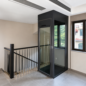 Ascenseur de Villa à Prix d'Usine, Petit Ascenseur de Plateforme pour Passagers, 1/2/3 Étages avec Balcon, Installation Facile, Intérieur/Extérieur, pour Maisons Anciennes - Product Image 4