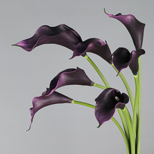 Fiori Artificiali Best Seller in EVA, Calla Nera e Viola, Centrotavola per Matrimoni, Decorazioni Floreali Realistiche all'Ingrosso - Product Image 1