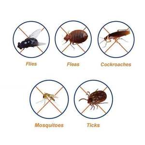 Insecticida de Alta Eficacia Permetrina 10% EC para Mosquitos y Garrapatas, Control de Plagas para la Salud Pública y Cultivos, Precio de Fábrica - Product Image 5