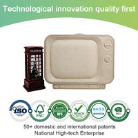 Boîte cadeau en carton recyclable et biodégradable en bagasse de canne à sucre non blanchie, pressée à humide, pour emballage chimique-mécanique, ODM & OEM