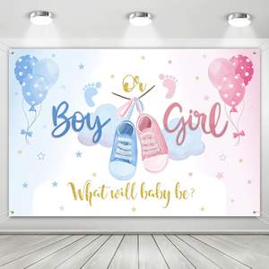 Toile de fond photographique pour révélation du sexe de bébé, thème crème glacée, avec bannière « Quel est le THÈME ? Garçon ou Fille ? », pour fête ou baby shower, fond personnalisable - Product Image 2