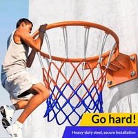 Aro de Baloncesto de Hierro Fundido, Tablero de Pared, Estándar, para Interiores y Exteriores, Portátil, Profesional, para Uso Doméstico, para Adultos y Niños, con Redes