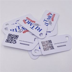Échantillon Gratuit 2026 : Carte de Visite NFC, Mini Carte Clé NFC, Étiquette Clé RFID, Mini Carte NFC - Product Image 5