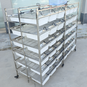 Cages et Boîtes Spacieuses en Plastique PP Épaissi Anti-Corrosion et Durable pour l'Élevage et l'Observation de Petits <span class=keywords><strong>Animaux</strong></span> (Souris, Rats, Hamsters) - Product Image 1