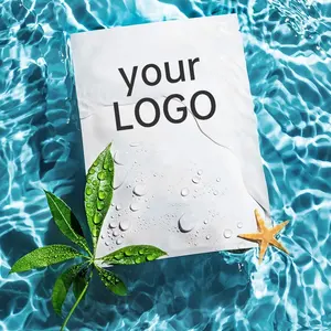 Anpassen des Logos Frosted Transparent Bag Vliesstoff Individuell verpackte Gesichts-Hyaluronsäure-Feuchtigkeitsblatt-Maske