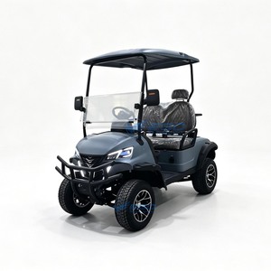 Proveedor Profesional de Carritos de Golf Eléctricos, Precios de Fábrica, 4 Ruedas, 3-4 Asientos, Certificado CE, Buggy de Golf Eléctrico Todoterreno, Batería de Plomo-Ácido - Product Image 6