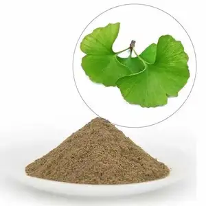 100% Pure Organic Favorable Natural Ginkgo Biloba Extract