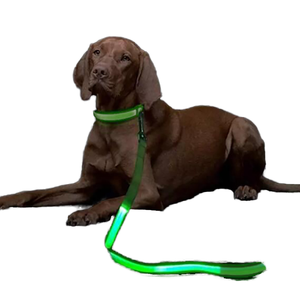 Collar para mascotas perro iluminación LED luminosa carga impresión personalizada diseñador alta gama al por mayor hecho en China <span class=keywords><strong>material</strong></span> de nailon - Product Image 1