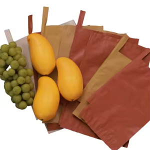 ถุงกระดาษเคลือบแว็กซ์สองชั้นหนาพิเศษ เป็นมิตรกับสิ่งแวดล้อม ป้องกันแมลง ระบายอากาศ ต้านเชื้อแบคทีเรีย ขนาดและสีตามสั่ง - Product Image 2